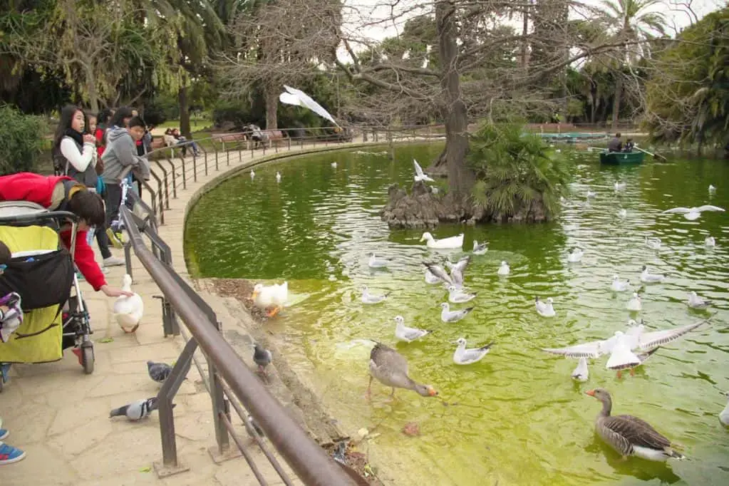 Ciutadella Park Barcelona Lake