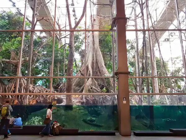 CosmoCaixa Barcelona is one of Europe's best science museums