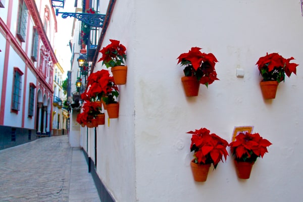 Seville, Spain: things to do include visiting the charming streets of Barrio Santa Cruz