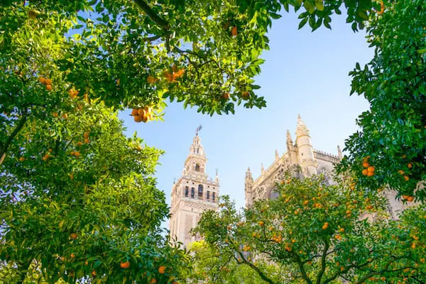 What to do in Seville, Spain