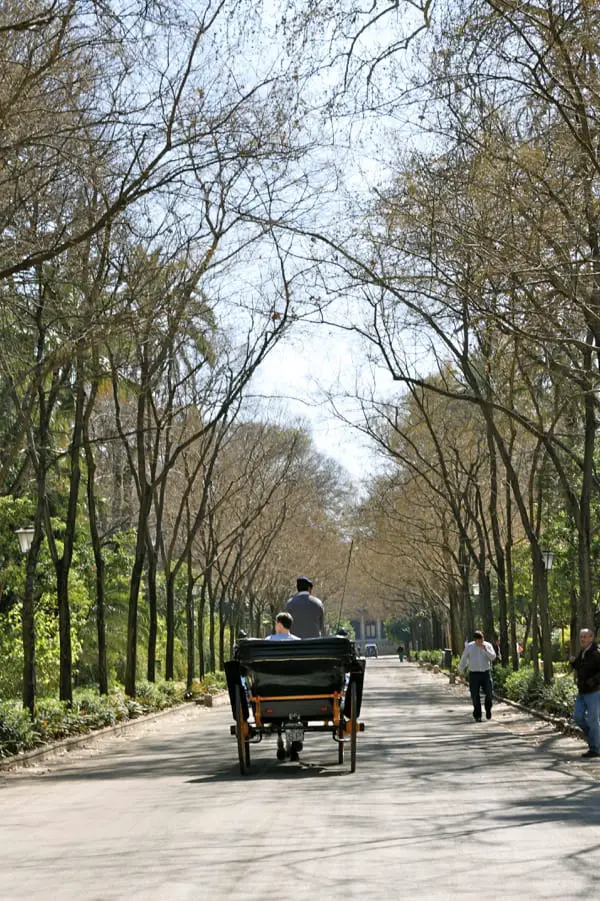 What to see in Seville, Spain: the Parque Maria Luisa, for starters