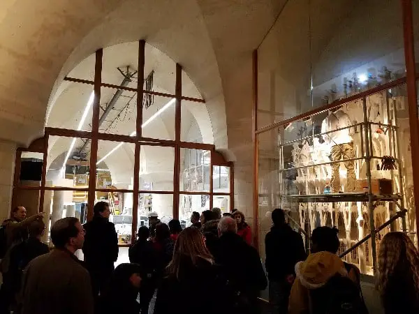 Inside La Basilica de la Sagrada Familia